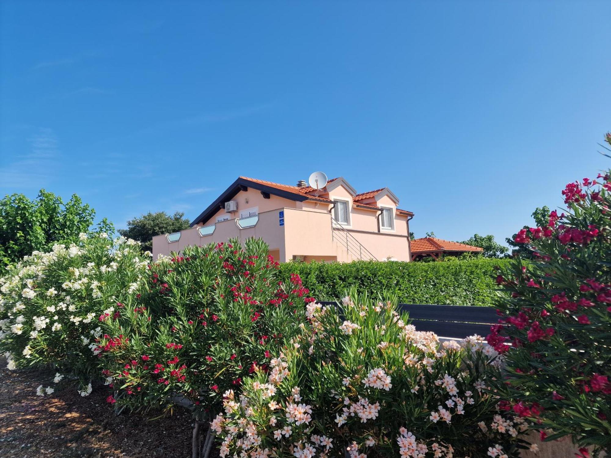 Villa Verbena Mala Cista Exterior photo